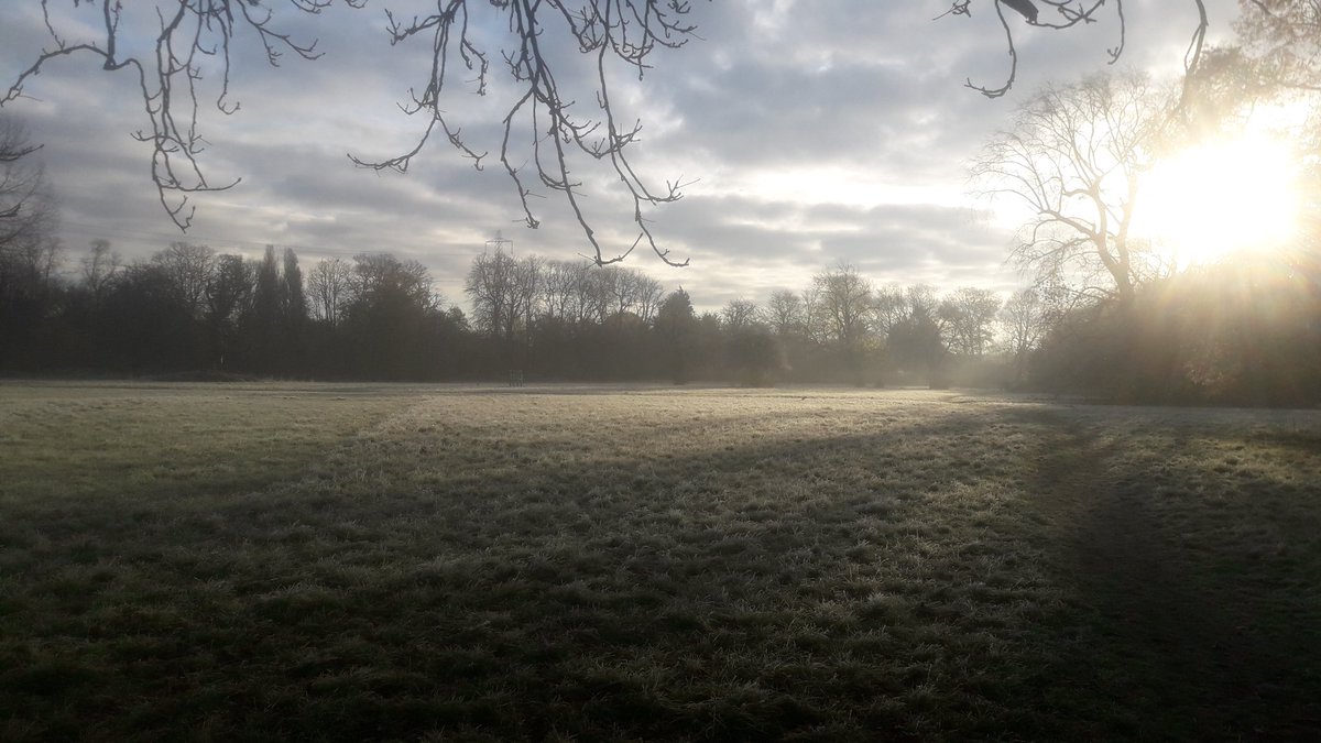 Beautiful start to the day tree Inspecting <a href="/nationaltrust/">National Trust</a> <a href="/MordenHallPkNT/">Morden Hall Park NT</a> <a href="/NTlovesLondon/">NationalTrustLondon</a>