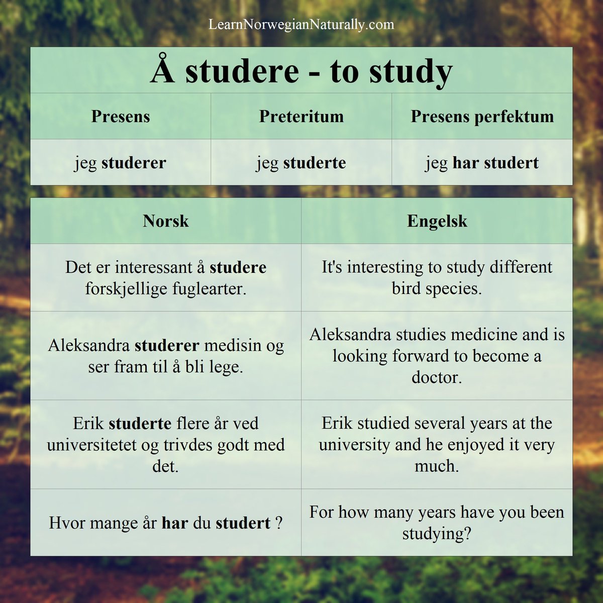 LearnNorweg's tweet photo. Norwegian verb of the day: "Å studere" = "to study" 

Learn how to conjugate this verb in Norwegian with many examples! Can you make your own sentence(s)?⁠ 😊

Instagram: https://t.co/YAG5GXHlMz

#learnnorwegian https://t.co/rIbFGEywGg