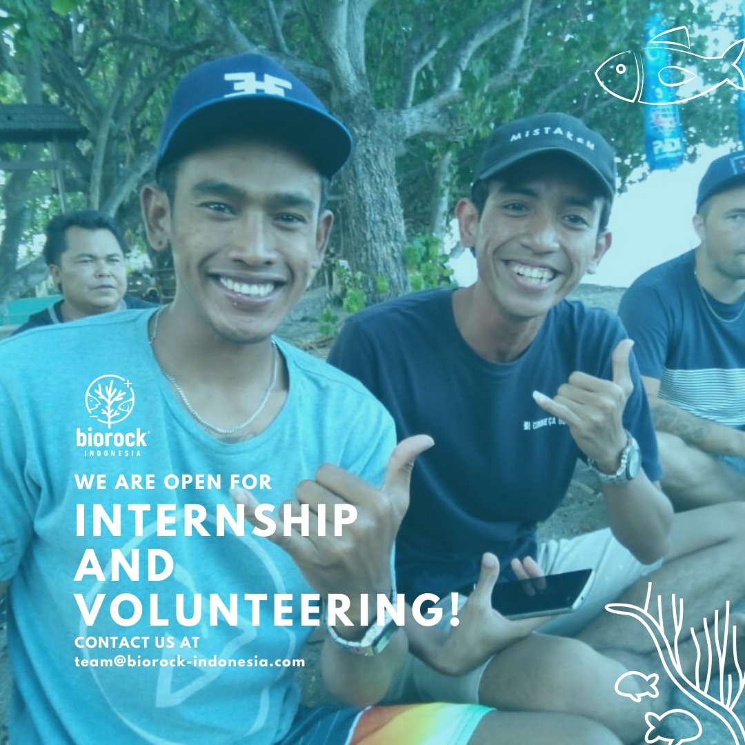 Biorock membuka kesempatan untuk melakukan magang ataupun menjadi relawan. Pendaftaran  dibuka sepanjang tahun, info lebih lanjut: team@biorock-indonesia.com #biorock #biorockindonesia #coralreef #conservation #bali #coral #restoration #karanglestari #ayobantuseKarang