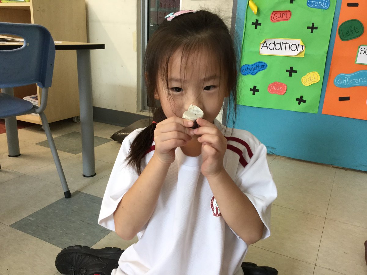 In our IPC Unit How Are You, we are learning about our five senses and how they keep us safe and healthy. We used our 5 senses to explore and answer questions about taste, touch, sight, hearing and smell. #his_learning #IPC