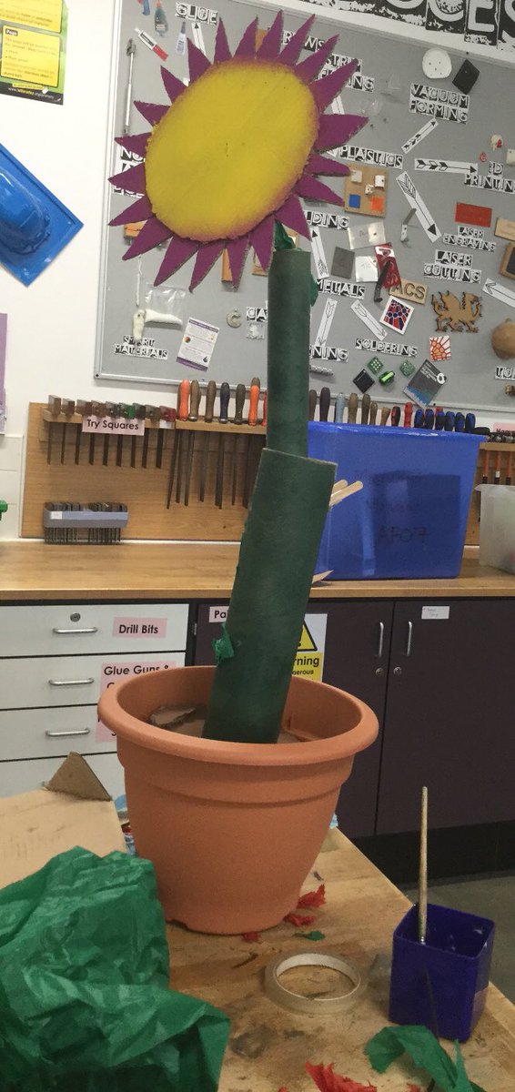 DT_ACS's tweet photo. Excellent models of flowers created by the year 10 Horticulture class #crosscurricular #scienceofplants #horticulture #teamwork https://t.co/syeunuJIpN