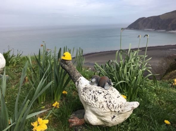 Get your ducks in a row! Contact #duo now for all your washing, crushing and  screening needs. buff.ly/2S5uGDX