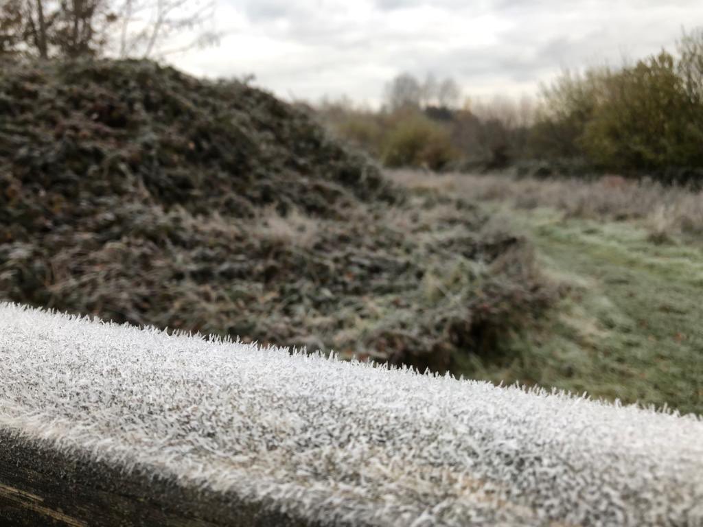 Warnham Local Nature Reserve (@warnhamlnr) on Twitter photo Frosty start on the Reserve but beautiful all the same! Hundreds of birds around mainly winter thrushes. Not a bad office for the day...#OurDay <a href="/HorshamDC/">Horsham District Council</a> Frosty start on the Reserve but beautiful all the same! Hundreds of birds around mainly winter thrushes. Not a bad office for the day...#OurDay <a href="/HorshamDC/">Horsham District Council</a>