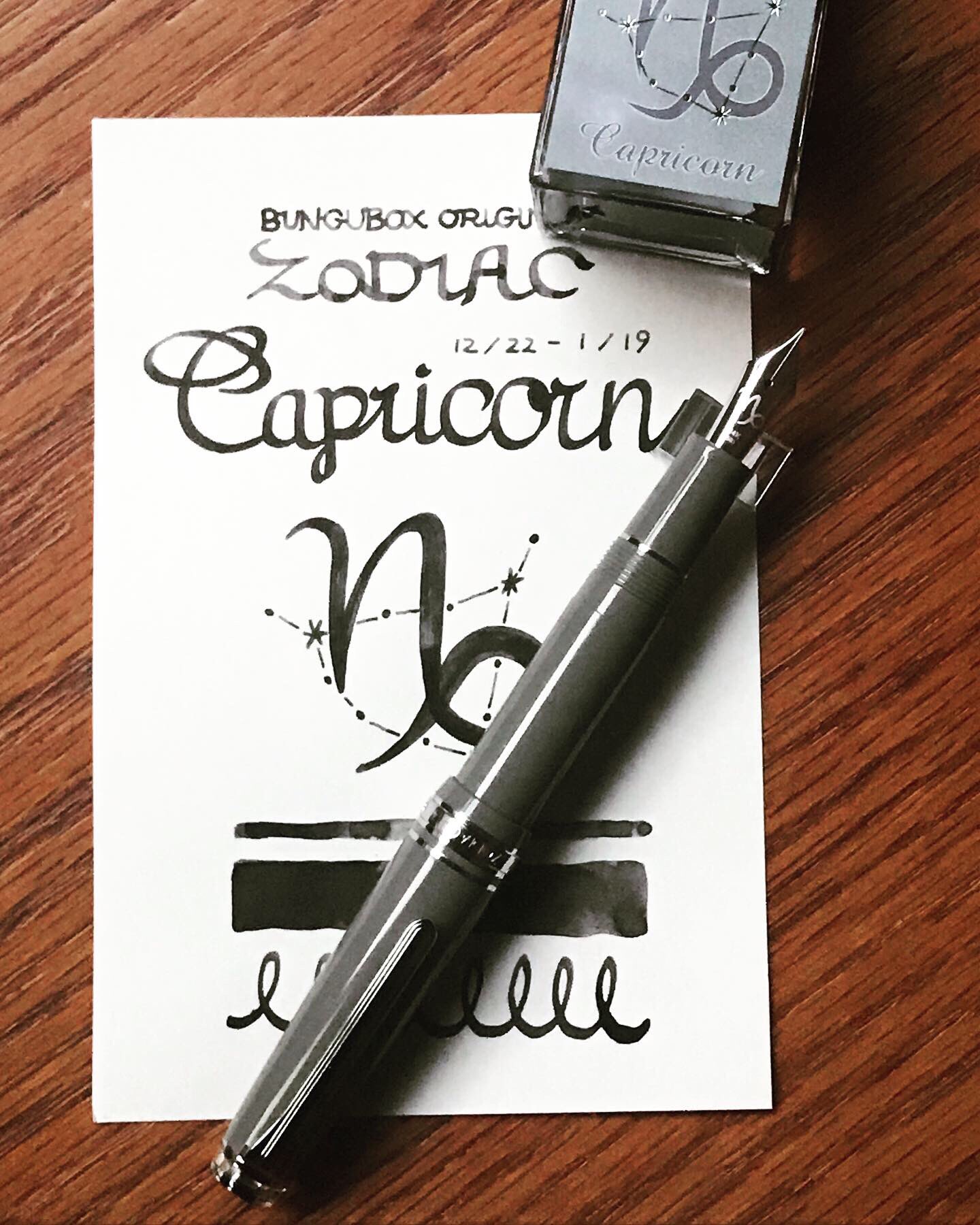 ZODIACシリーズ BUNGUBOXオリジナル 山羊座 万年筆 セーラー万年筆  