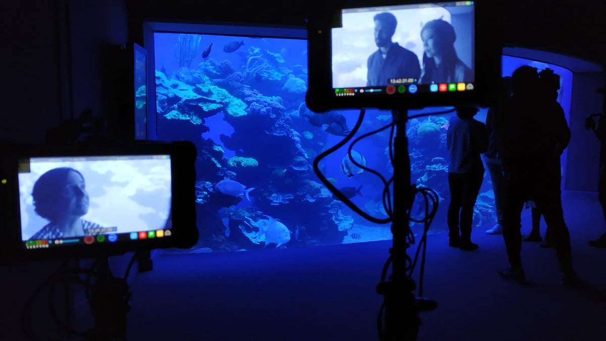 Interesante y divertida visita a Palma Aquarium donde aprendemos sobre la biodiversidad marina en la isla. Muchas gracias @palmaaquarium y <a href="/planettunaIEO/">Planet Tuna 🐟</a>  por descubrirnos que Mallorca posee uno de los fondos marinos más ricos del Mediterráneo! #SerieSpainPassion #HelloThink