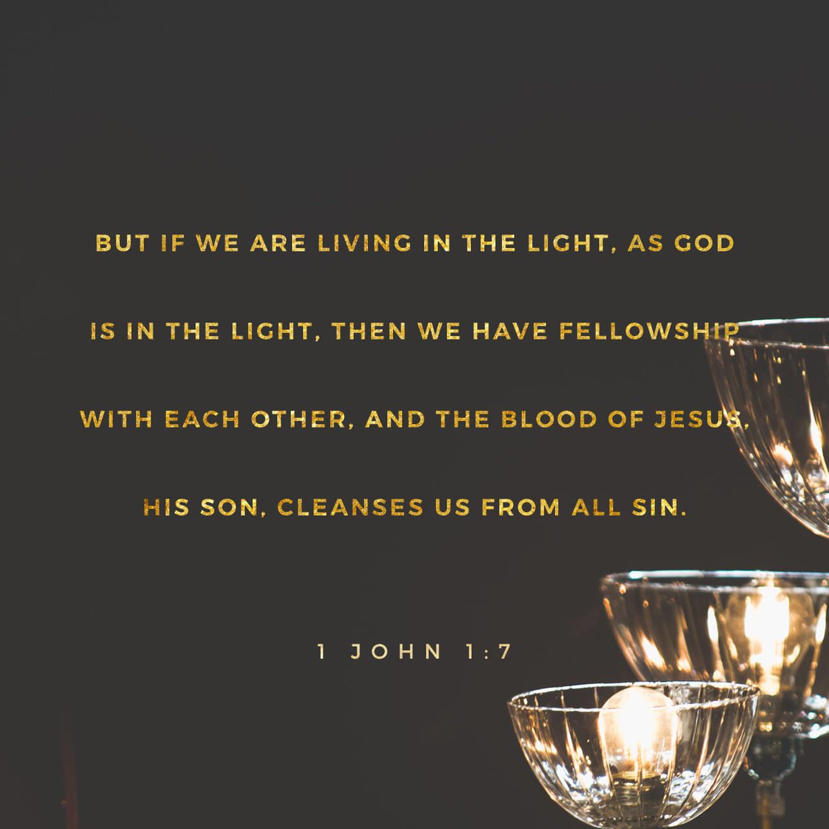 LizTrott's tweet photo. But if we are living in the light, as God is in the light, then we have fellowship with each…
https://t.co/6OCCPWEtpn https://t.co/TZUyhs8Ttm