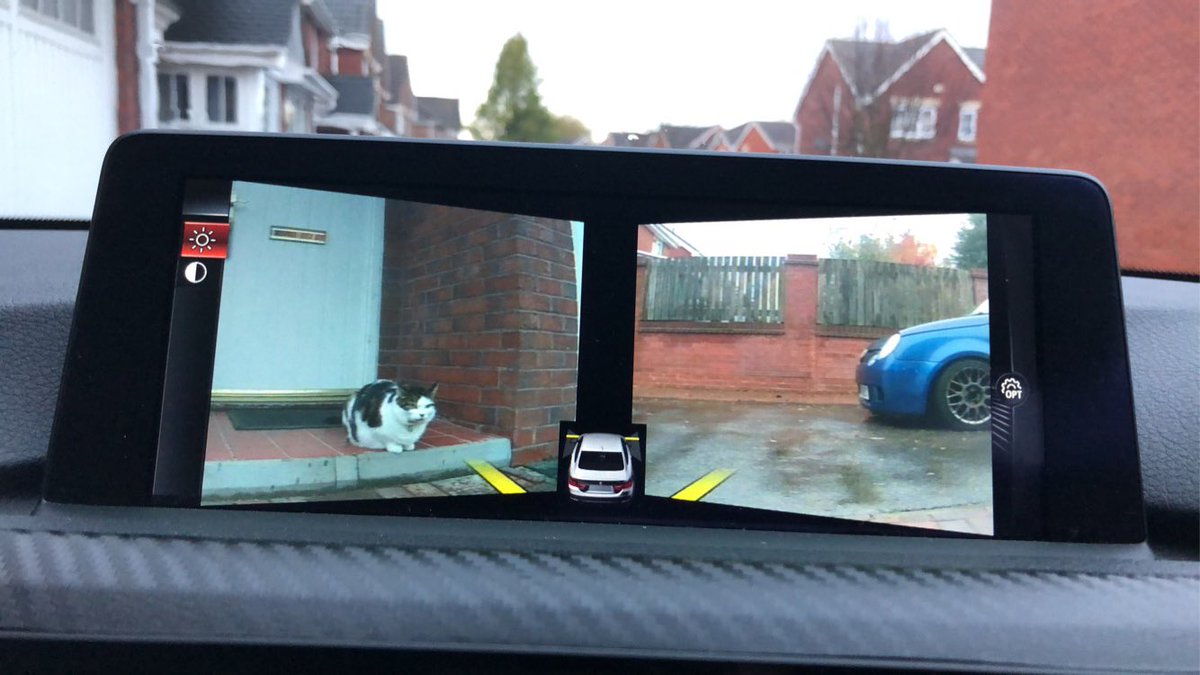 TidyChi's tweet photo. Well hello kitty cat 🐱

#Meow #Cat #Kitty #Volkswagen #VW #Lupo #LupoGTi #BMW #M4 #Bimmer #GTi #BBSWheels #TomCat #VWLupoGTi #FurryFriend https://t.co/FohtaSXgyS