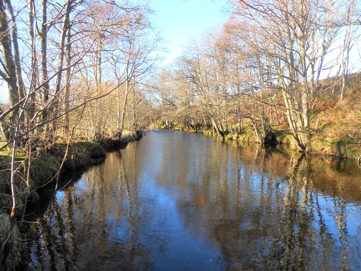 THE HAUGH BEAT | 🐟O/O £20K
You could have your own Aberdeenshire fishing beat in time for next season. Fishing rights available over 2/3 of a mile on the River Feugh just south of Banchory
☎️Contact Sam Dillon 01224860710
💻bit.ly/2r3AGAq
#BuyABeat #Fishing #RuralAgency