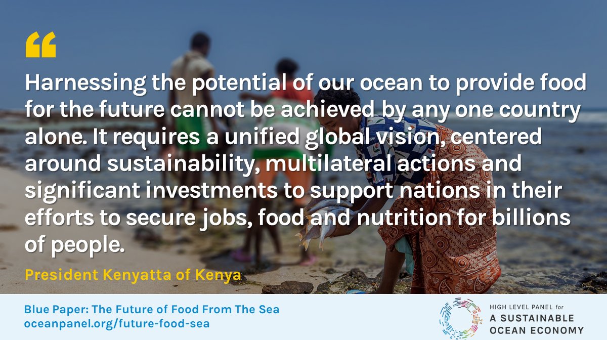 The HLP for a Sustainable Ocean Economy launched its first Blue Paper today on #FoodFromTheSea at @FAO #SustainableFisheries @oceanpanel #HLPBluePaper #OceanAction @StateHouseKenya