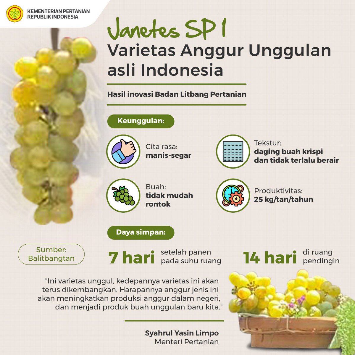 Varietas Anggur Unggulan Asli Indonesia. ⁦Hasil Inivasi Badan Kitbang Pertanian. <a href="/Syahrul_YL/">Syahrul Yasin Limpo</a>⁩