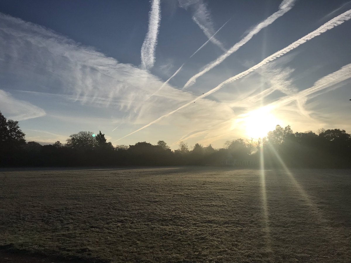 Dulwich Daily tweet media