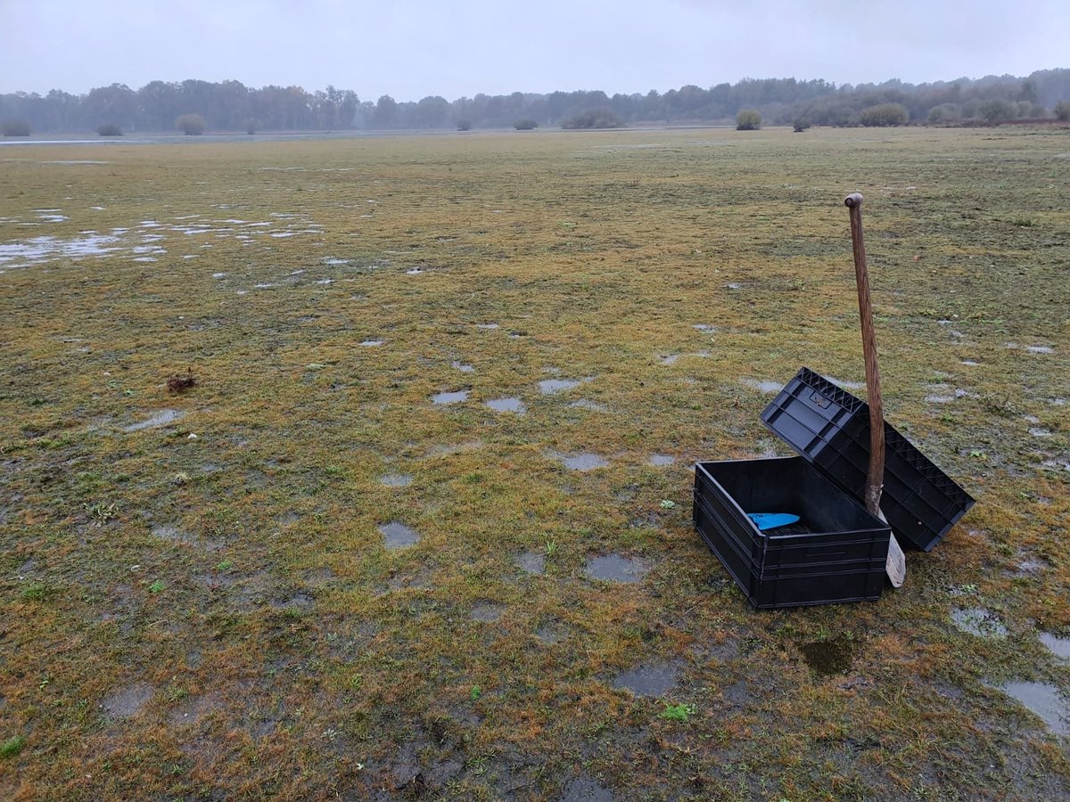 Soontiëns Ecology tweet media