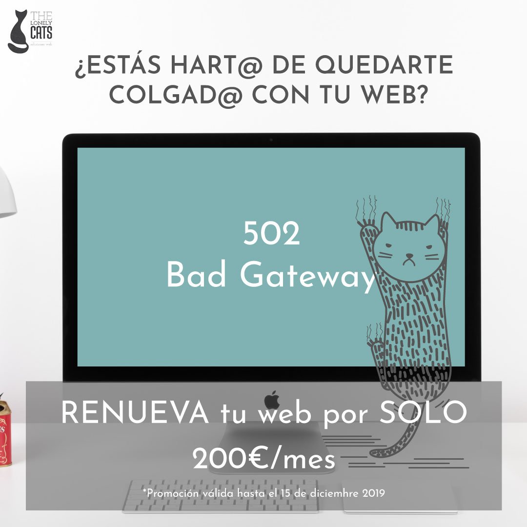 The Lonely Cats tweet media