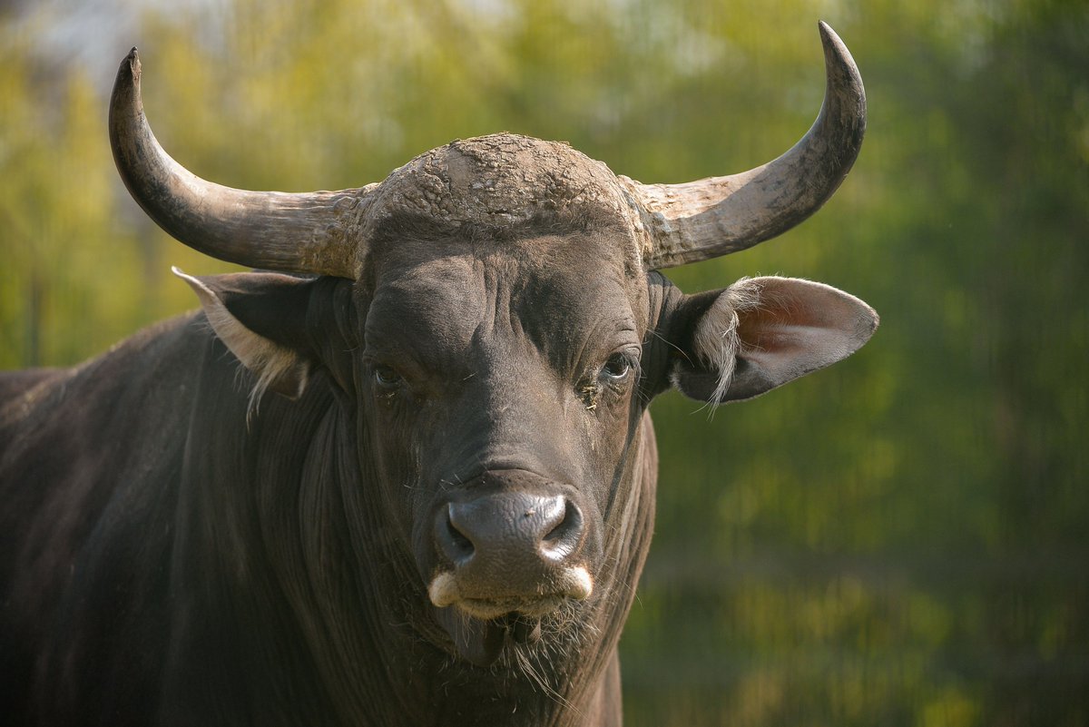 Chester Zoo Science tweet media
