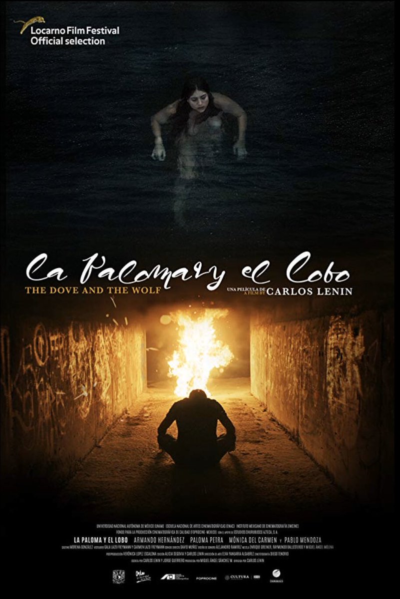 🇲🇽 Horizontes México es la sección que da cabida a trabajos audiovisuales que observan reflexivamente el contexto mexicano contemporáneo.
#fictu2019