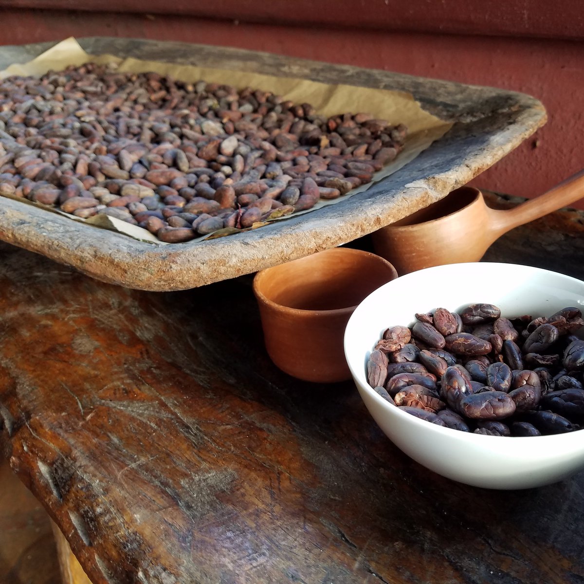 A Honduran cacao farm tour and on-site chocolate tasting is a delicious experience #honduras #chocolate #chocolatetour #visithonduras #agritourism #choosehonduras