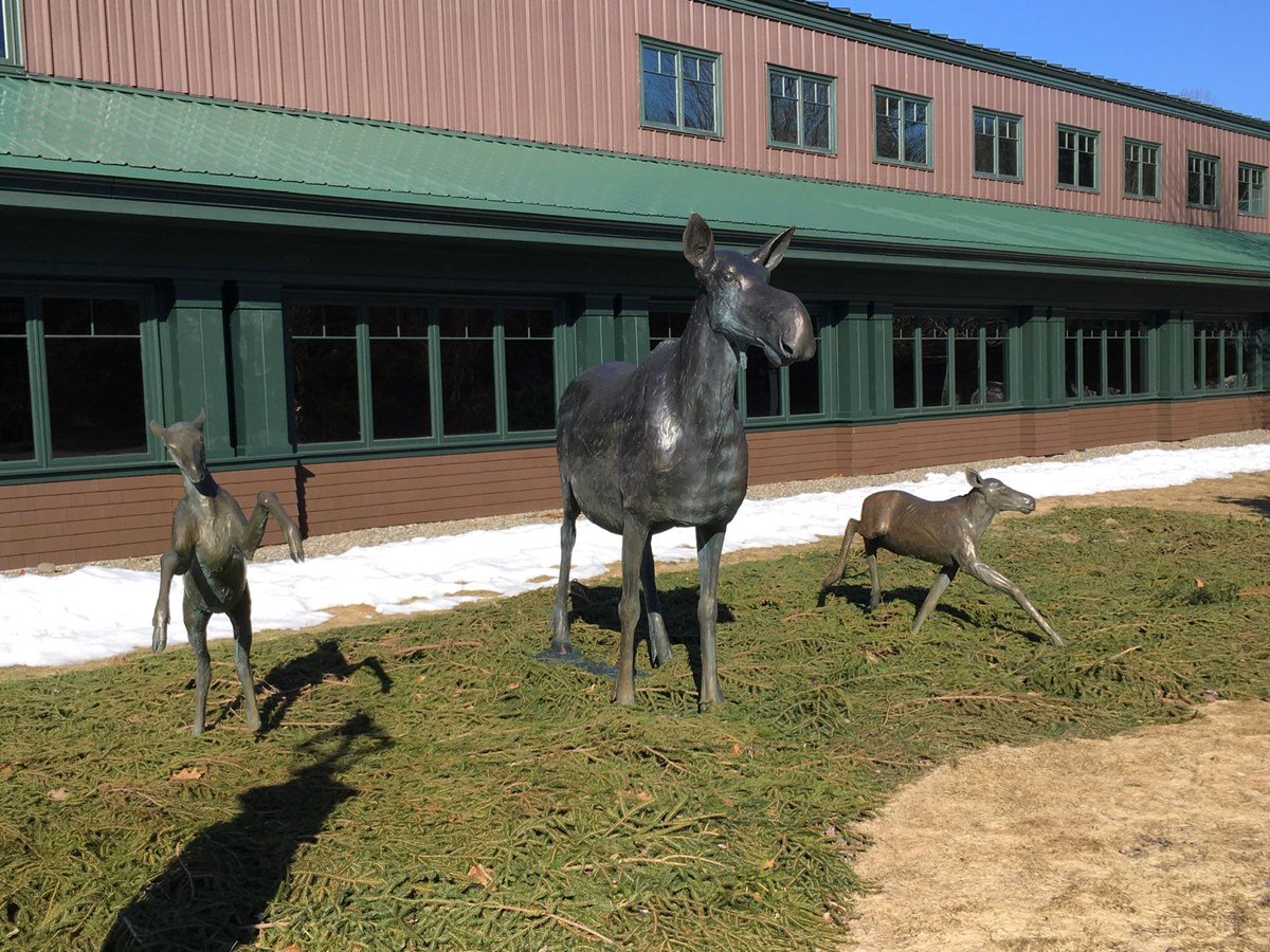 We want to see your pics! Tag us so we may feature them on our social :) #VisitMaine #Maine bit.ly/2pk7kcZ