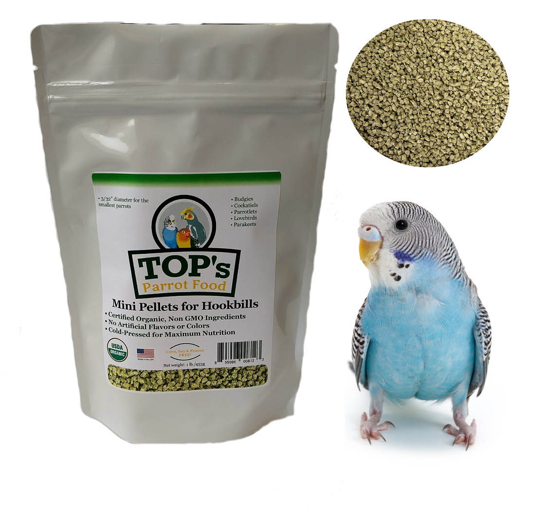 It's no surprise that #parakeets love the new TOP's Mini Pellets. Just the right size! Learn more: http://ow.ly/wmfI50xf1wQ #parrot #parrots #birbs