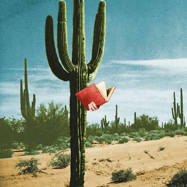 Qui s'y frotte #lecture #reading #book #bookstagram ❤️ illustration #collage #photomontage <a href="/jean/">J</a>.lecointre ift.tt/2OpqeLK