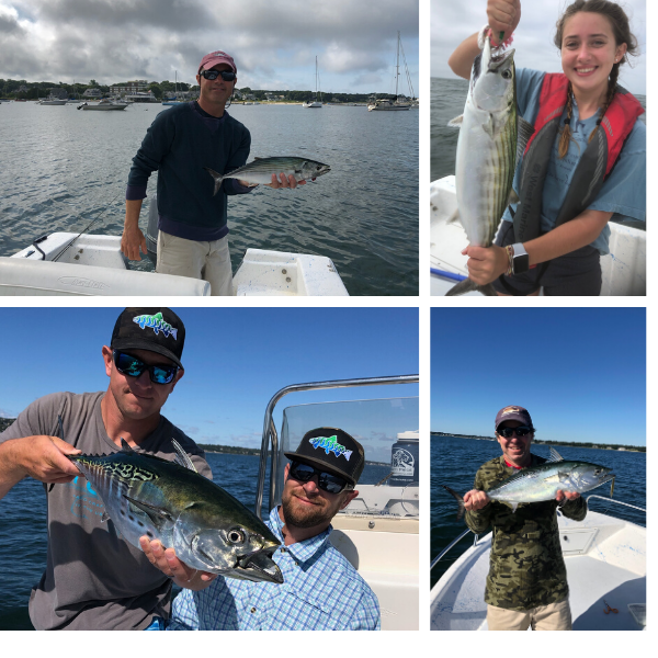 MassDFG's tweet photo. We love what we do! When not working, @MassDMF biologists Ross Kessler and John Boardman get on the water with friends for extra some #fishing time. 🎣🐟 https://t.co/pDRhrjp8O6