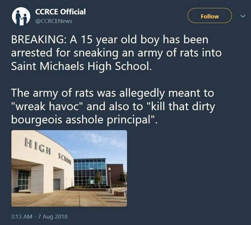 DonaldPost18's tweet image. I will not stand by whilst weaponislzed rats are terrorizing Canadian schools! @ratparty2020 must answer! Support your local @FamMPSP candidate and keep our kids safe!