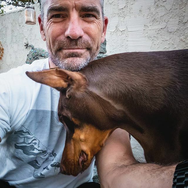 rubydooby_do's tweet photo. Close is never close enough...
.
.
#myrubes #closetalker #alwaysbymyside #thatfacethough
#rubydooby_do #doberman #dudeswithdogs #dobermann #dobiesofinstagram #dobielove #topdogphoto #daddyofdogs #dogsofinstaworld #dogdad #dobermansofinstagram #mustlo… https://t.co/9pYqXNPP6b https://t.co/PJZw15WVUU