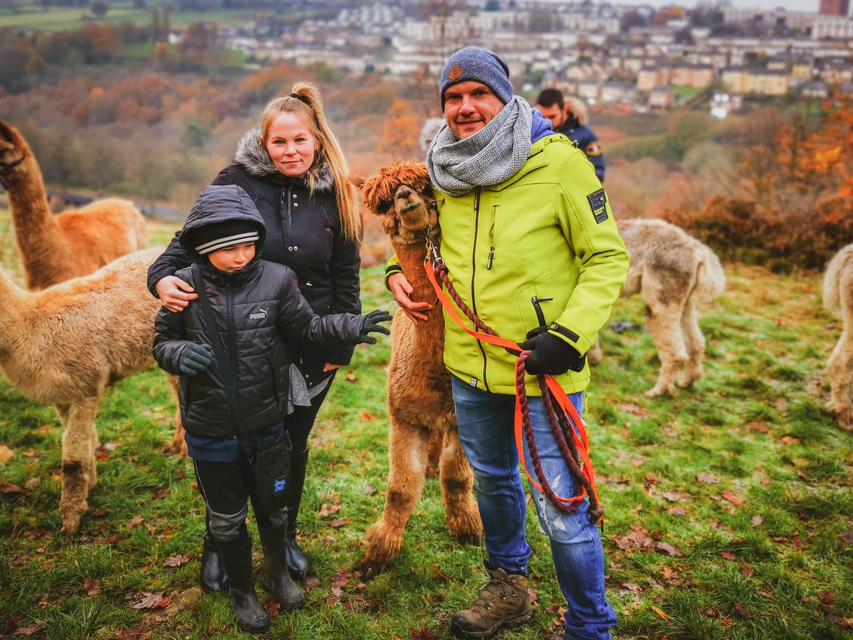 ManselMentor's tweet photo. Had a fantastic time today walking the Alpacas with Bailey and his Mum. @Holly_Hagg https://t.co/nJu6zkQmwU