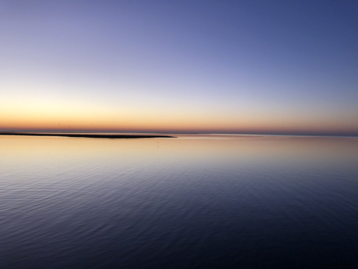 LOATV Show tweet media