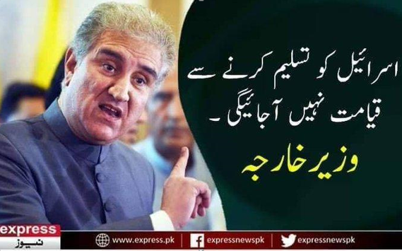PML(N)_77 🦁 tweet media