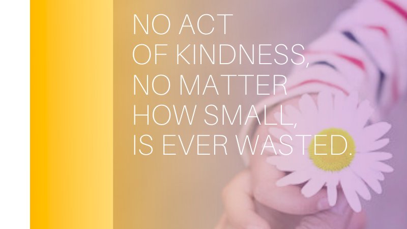 stormessay's tweet photo. Commit more acts of kindness today than any other day! 🕊
◈◦◈◦◈
#StormEssay #StormEssay_Org #StormEssayOrg #collegestudent #highschoolstudent #collegestudents #motivational #motivation #inspiration #inspiring #inspirational #TuesdayThoughts #TuesdayMorning #TuesdayMotivation https://t.co/RCJo2ZlBfe