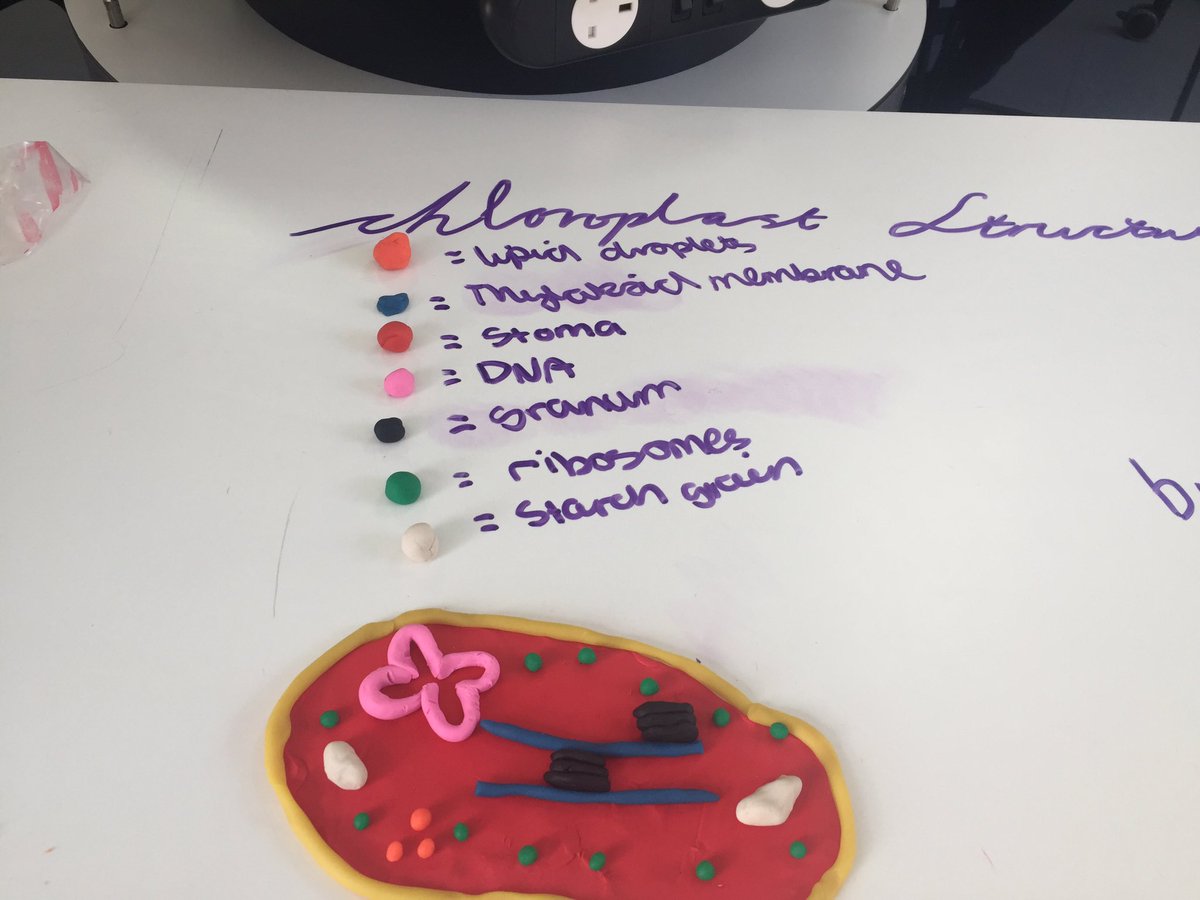 BGSBiologyDept's tweet image. And last weeks year 13 chloroplast models.... #creativityinscience