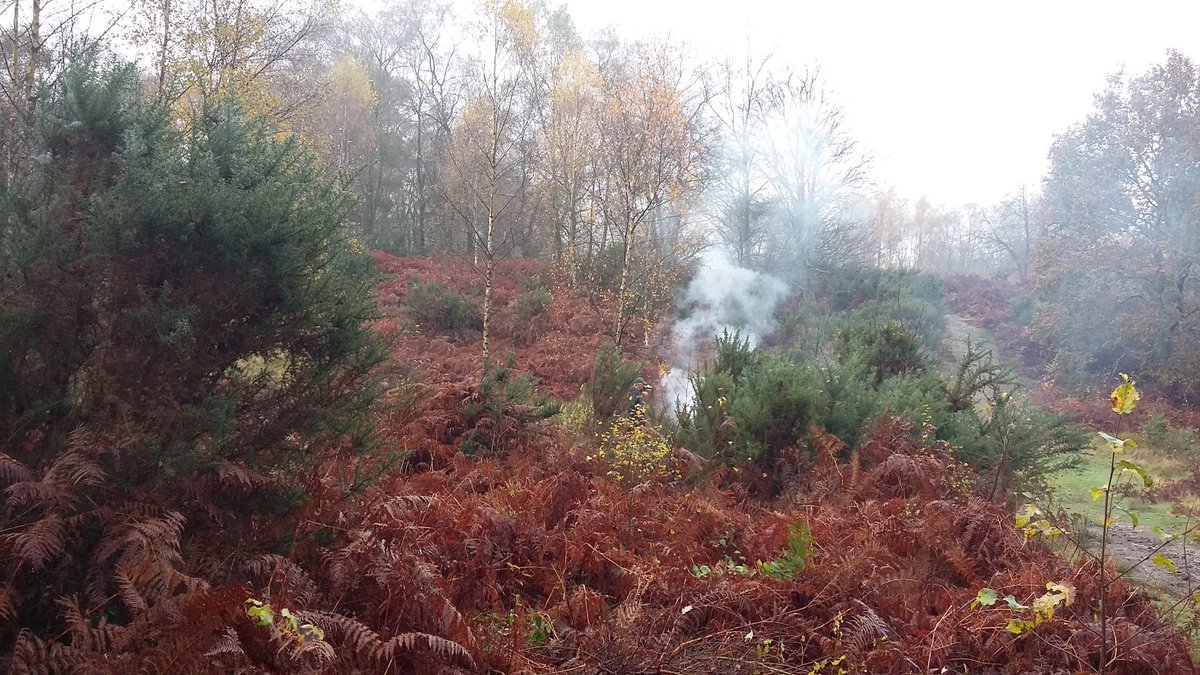 Ranger_sdnpa's tweet image. Before and after of some Gorse clearance at Lynchmere Common. Thank you to our VRS for your hard work and Judy for bringing sausages and penguins for lunch!! 🌭🐧 #HelpTheHeaths #conservation @lynchmere