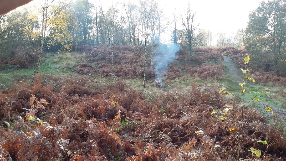 Ranger_sdnpa's tweet image. Before and after of some Gorse clearance at Lynchmere Common. Thank you to our VRS for your hard work and Judy for bringing sausages and penguins for lunch!! 🌭🐧 #HelpTheHeaths #conservation @lynchmere