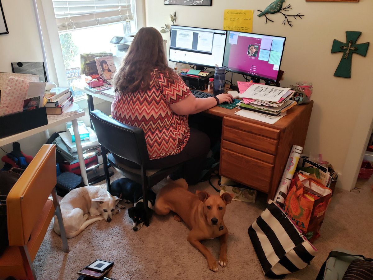 GeoMartin29's tweet photo. Apparently my fur babies missed me too! #petsofASHE https://t.co/kGM1VwRP6I