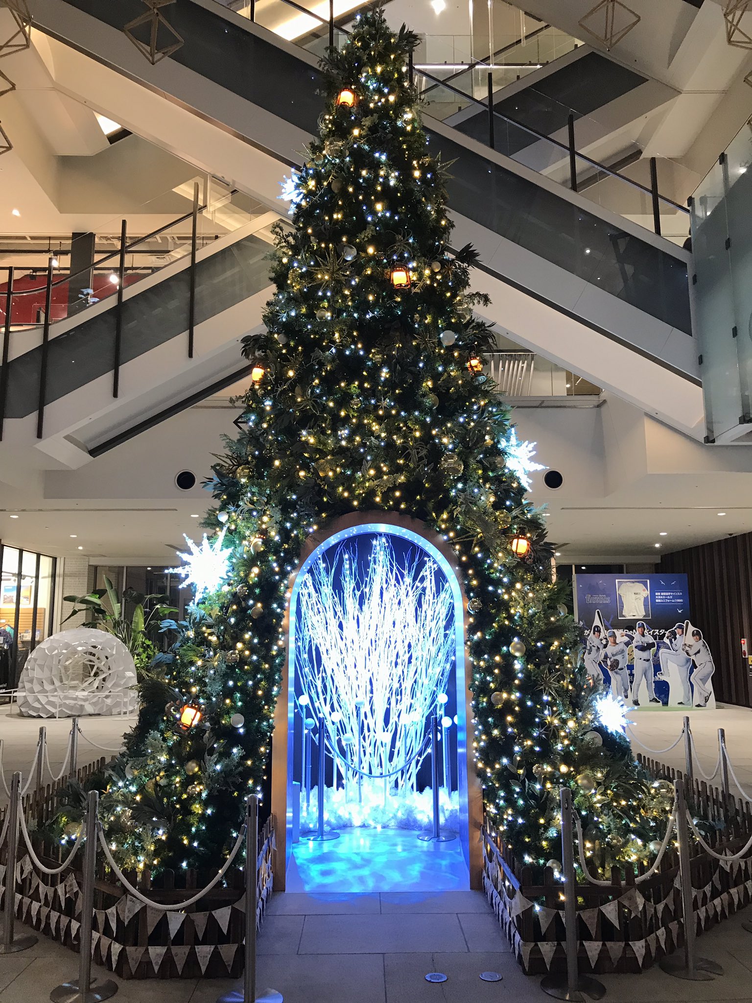 リビング田園都市 On Twitter: "みなとみらいのクリスマスツリーを巡って、アフター5のお散歩🎄 #ランドマークプラザ #マークイズ みなとみらい #みなとみらい東急スクエア #みなとみらい #クリスマスツリー2019 #イルミネーション #リビング田園都市 Https://T.co  ...