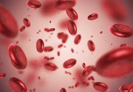 eHealthForums's tweet image. You can ask your #anemia questions to other users or to a doctor for free! bit.ly/2Oq9XGf