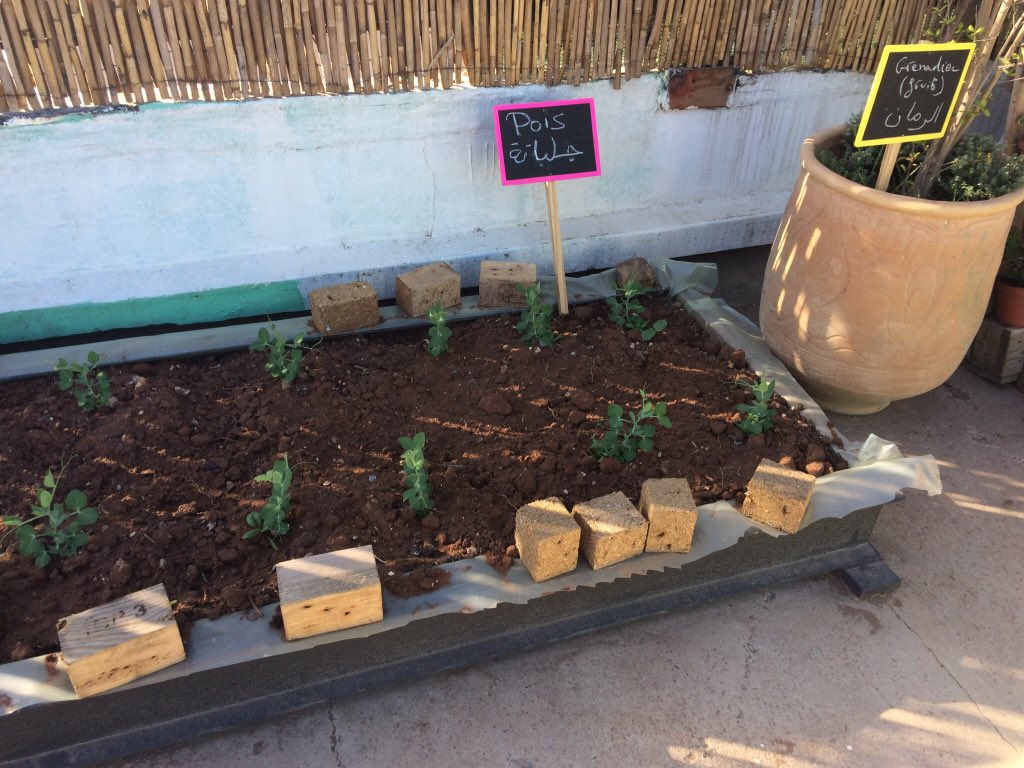 endarup_gaye's tweet photo. @habitat_intl  this is in HIC’s NEMA region where in TRANSFORMATION FROM AFRICA for participatory urban-rural and green roof mouvement against Climate Change https://t.co/GftjZ8dAqK