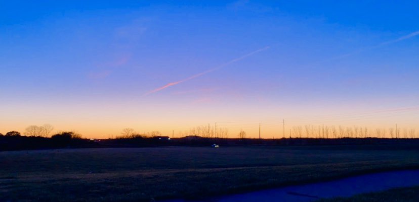 Rachel Pincus tweet media