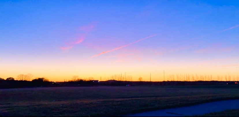 Rachel Pincus tweet media