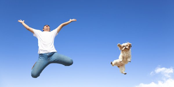 WesthagheTA's tweet image. #Springest vergelijkt #ICT opleiders. #Westhaghe #Training &amp;amp; #Advies gaat voor een gouden plaats.
westhaghe.com/blog/48-nieuws…