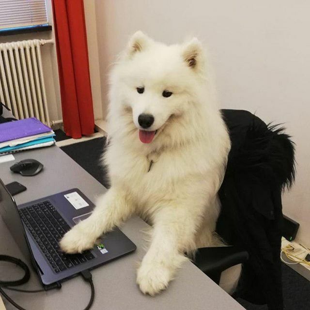 Launch Cafe tweet media