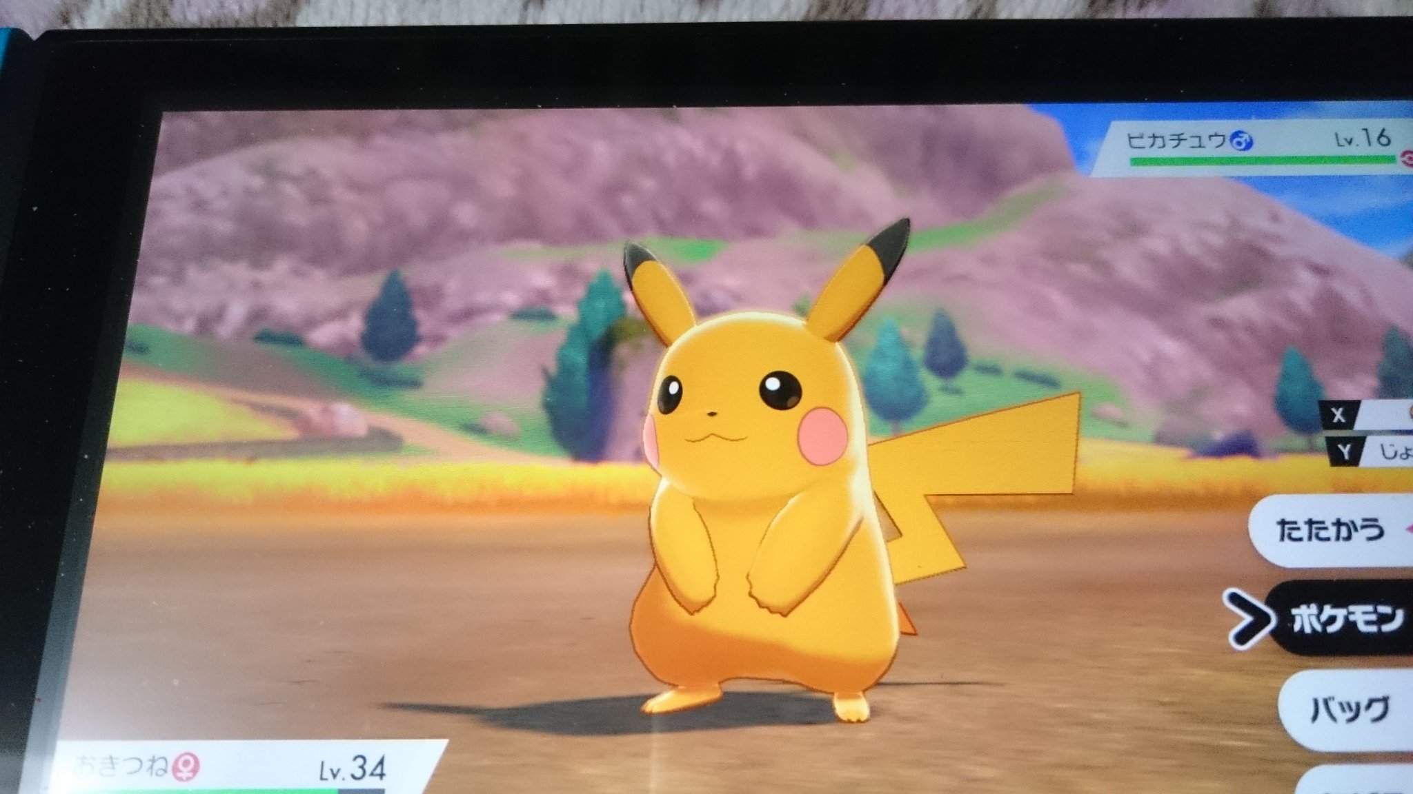 風白狼 でんきだま手に入らないかとピカチュウ探し回ってたら色違い出たんだけど ポケモン剣盾 T Co 0ig6bpqiml Twitter