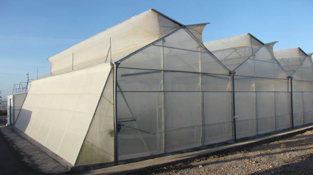 El próximo jueves en #Cambados #Pontevedra presentaremos una jornada sobre manejo de suelo y #fertilización en cultivos hortícolas bajo #invernadero

ow.ly/gFuz30pUtos 

<a href="/Xunta/">Xunta de Galicia</a> <a href="/C_Cambados/">Concello de Cambados</a> <a href="/Horsalcoop/">Cooperativa Horsal</a>