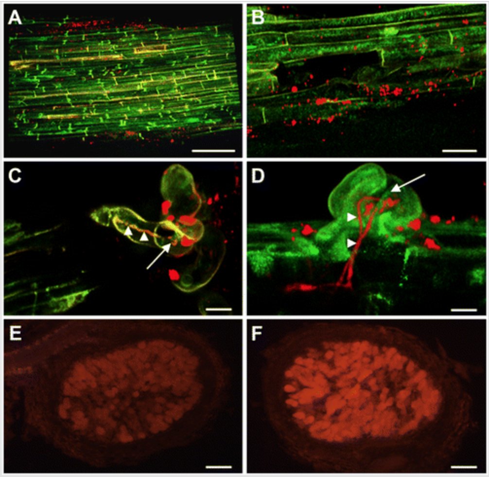 Jeanne Harris tweet media