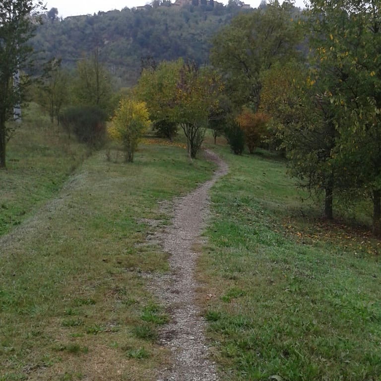 Gianmarcomacpez's tweet photo. #imparero ad ascoltare me stesso ed il mio cuore..mentre corro, per trarne sempre emozioni positive #iocorroqui 11km collinari ed intensi,tra i colori autunnali di valsamoggia #19novembre https://t.co/3pHXU310PF