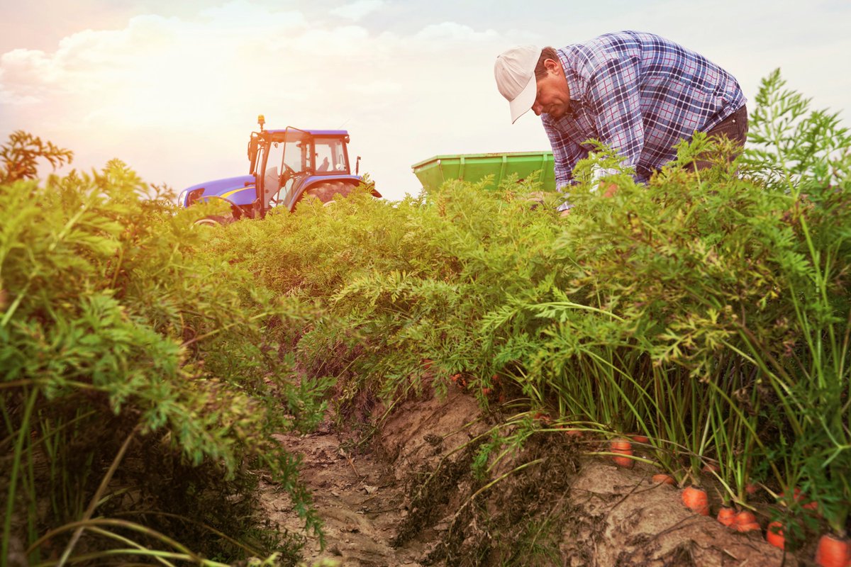 Europe needs to overcome separation of approaches to address climate change, food and nutritional security – improve the legislation for New Breeding Technologies to combine these with classical and organic practices for our societies. 🌱🇪🇺
#growingthefuturetogether