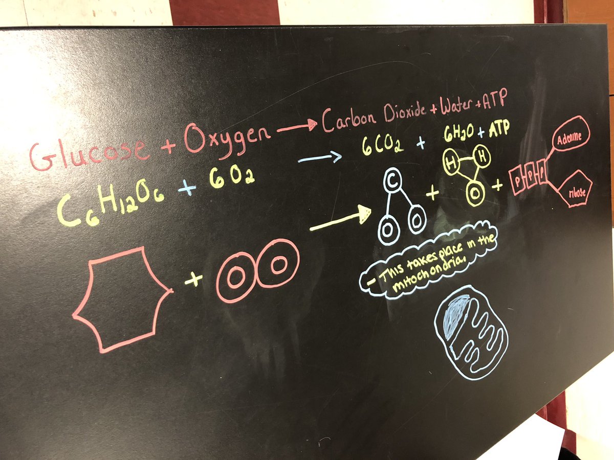 KQHannon's tweet photo. Students making desk models@of cellular respiration today #bioclass https://t.co/0q0Nn2X6Lh