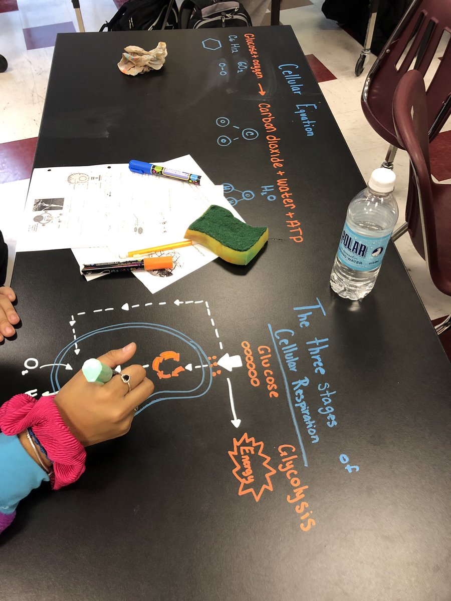 KQHannon's tweet photo. Students making desk models@of cellular respiration today #bioclass https://t.co/0q0Nn2X6Lh