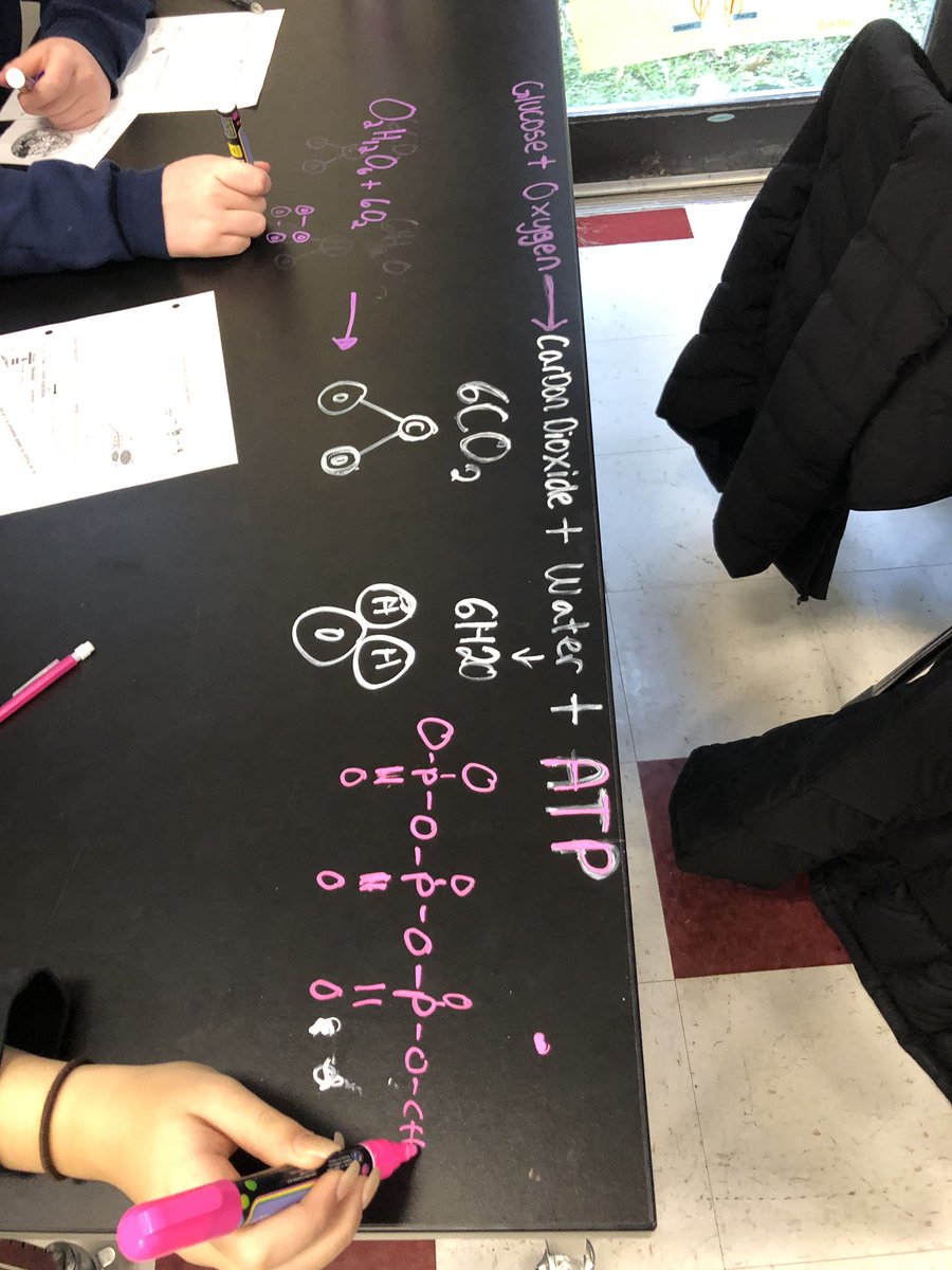 KQHannon's tweet photo. Students making desk models@of cellular respiration today #bioclass https://t.co/0q0Nn2X6Lh