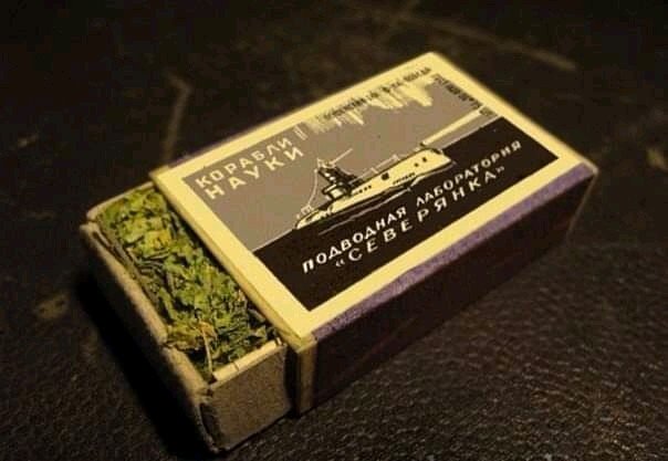 Поголюся, коли повернуться українські кораблі, - Зеленський вибачився, що прийшов на пресконференцію неголеним - Цензор.НЕТ 2946